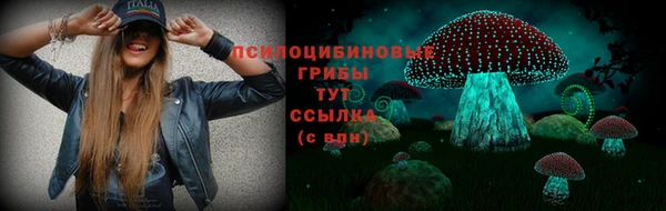 гидра Алзамай